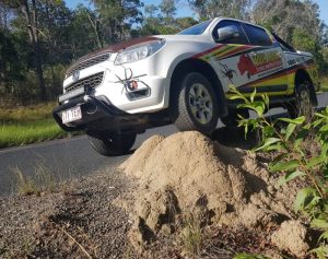 Vehicle next to a termite nest