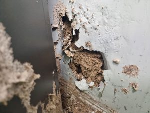 damaged wall from termites